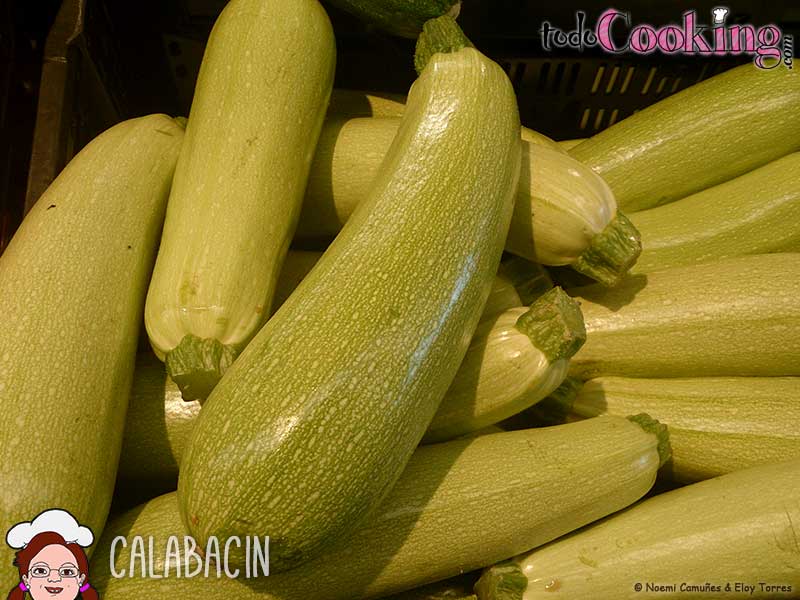 calabacin