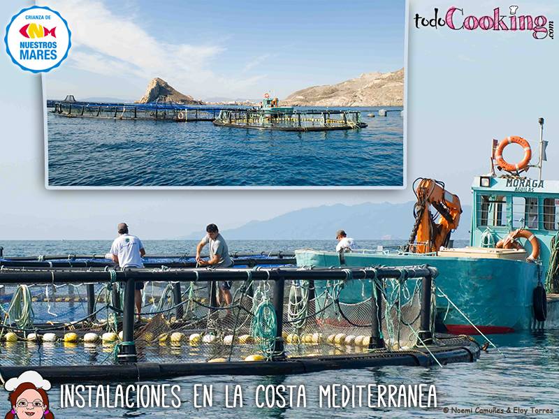 Instalaciones-Crianza-de-nuestros-mares